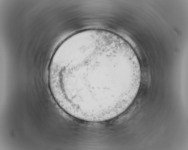 X0000113040807200909241433