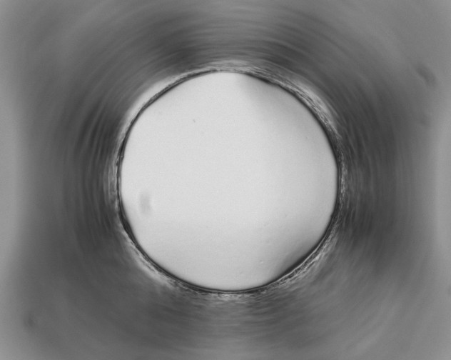 X0000113040808200909241433