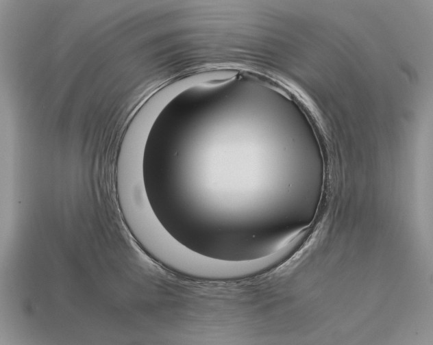 X0000113040809200909241433