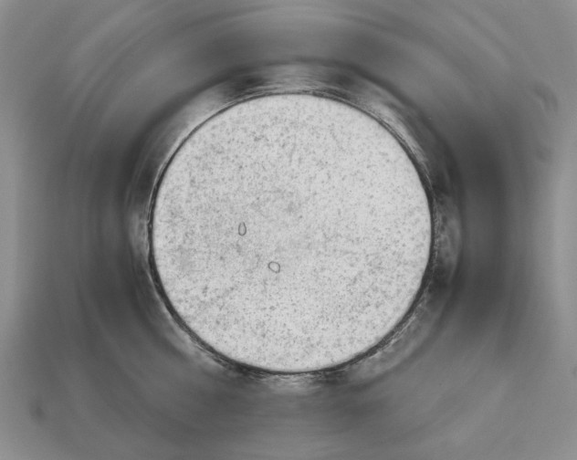 X0000113040810200909241433