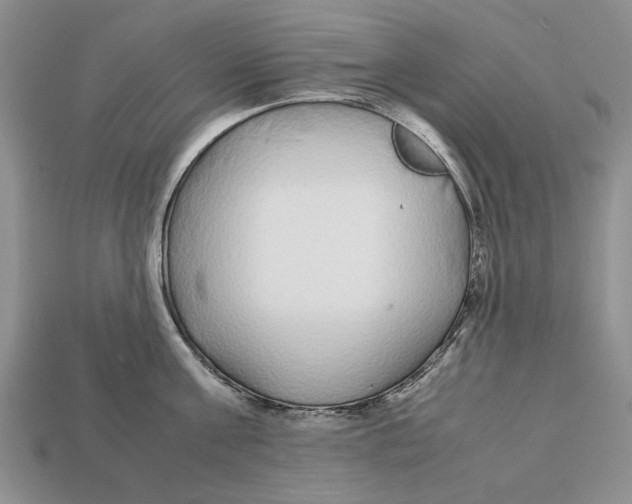 X0000113040811200909241433