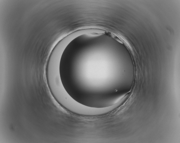 X0000113040813200909241433
