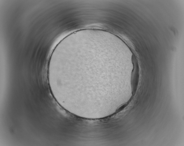 X0000113040816200909241433
