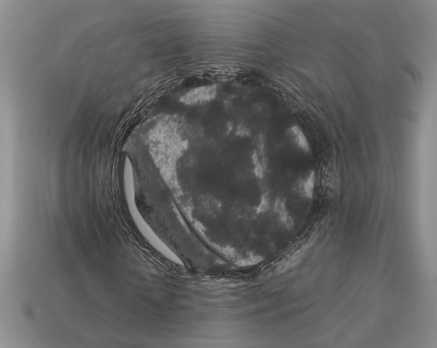 X0000113040818200909241432