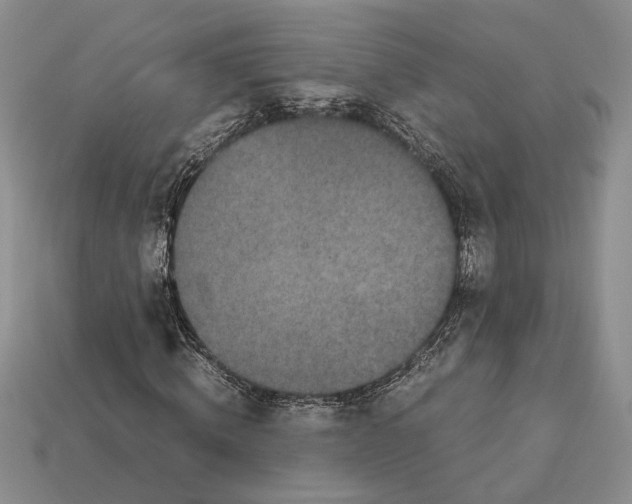 X0000113040820200909241432