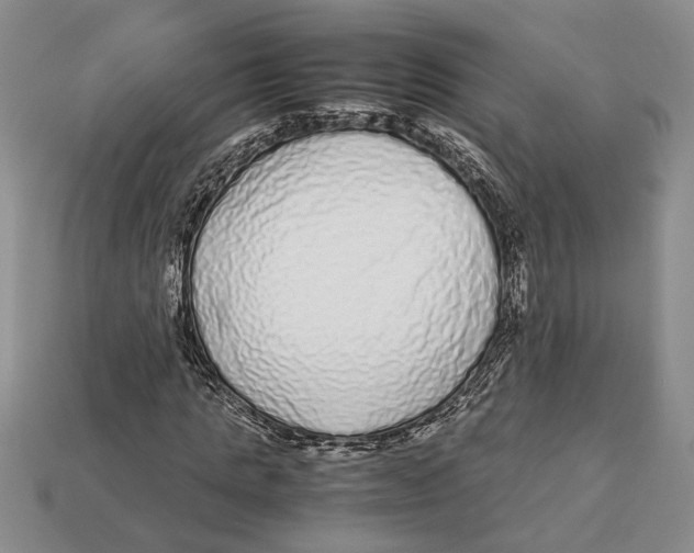 X0000113040821200909241432