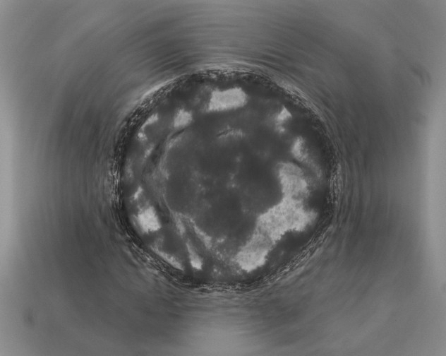 X0000113040822200909241432