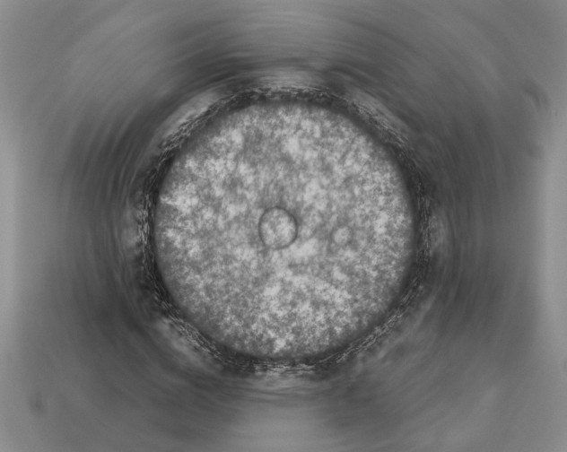 X0000113040824200909241432