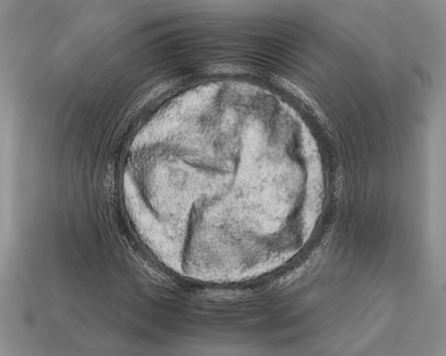 X0000113040825200909241432