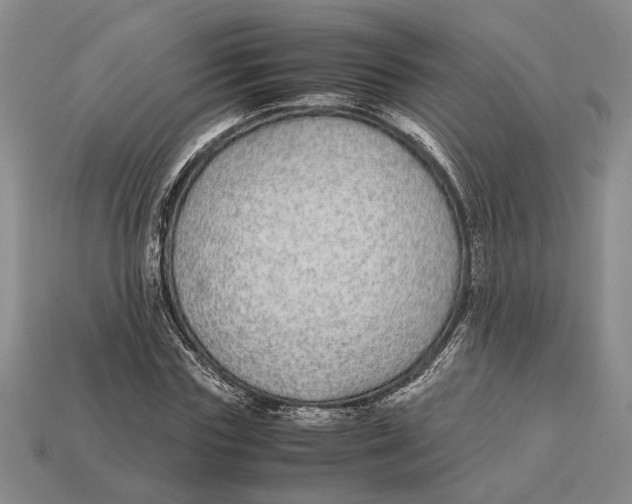 X0000113040827200909241432