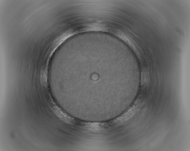 X0000113040828200909241432