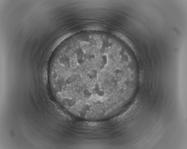 X0000113040829200909241432