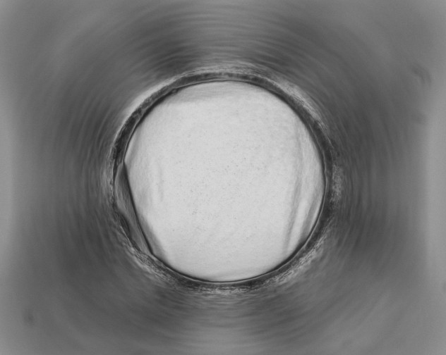 X0000113040830200909241432