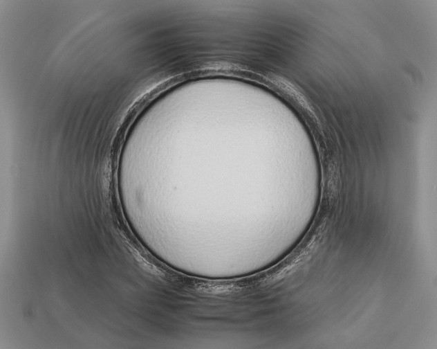 X0000113040831200909241433