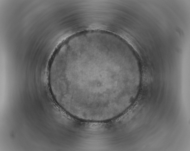 X0000113040832200909241433