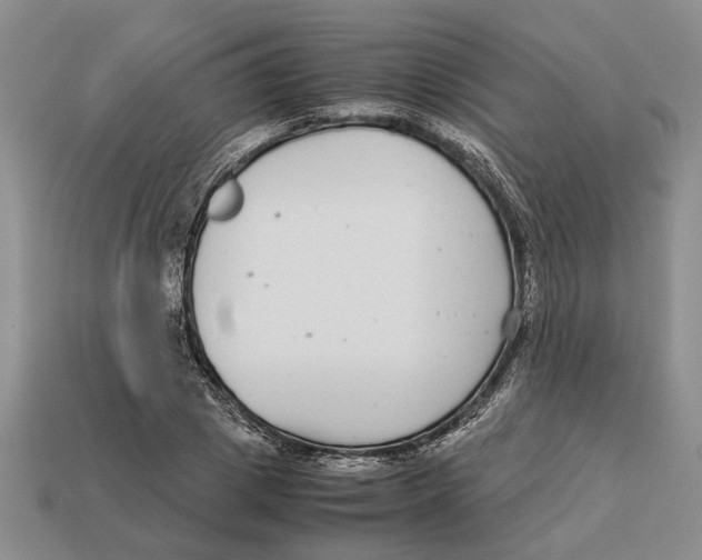 X0000113040833200909241433