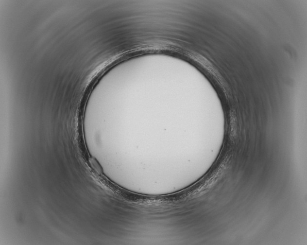 X0000113040834200909241433