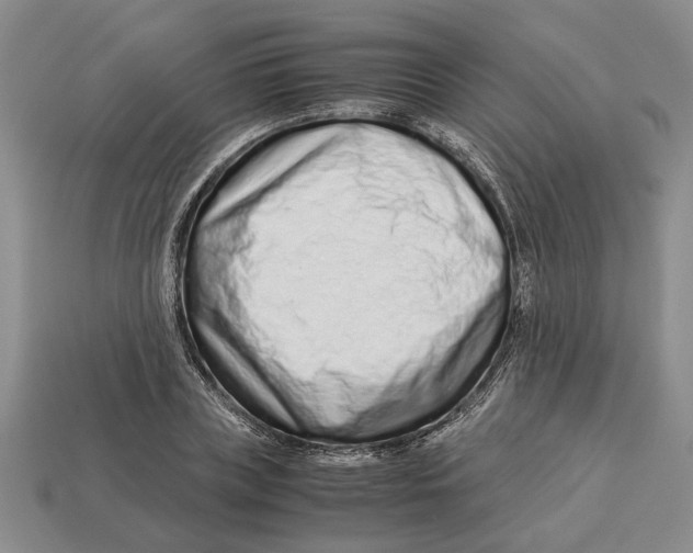 X0000113040835200909241433