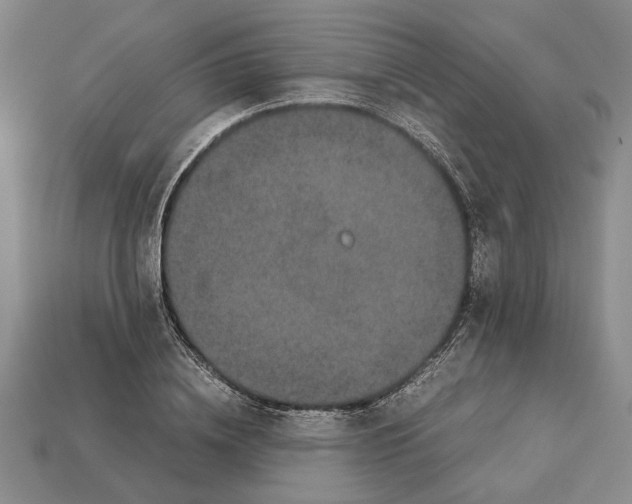 X0000113040836200909241433