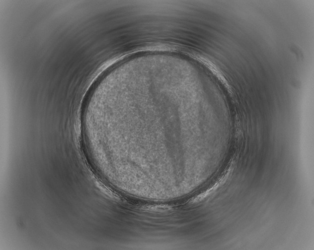 X0000113040837200909241433