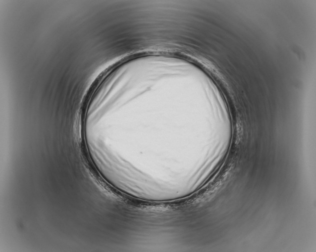 X0000113040838200909241433