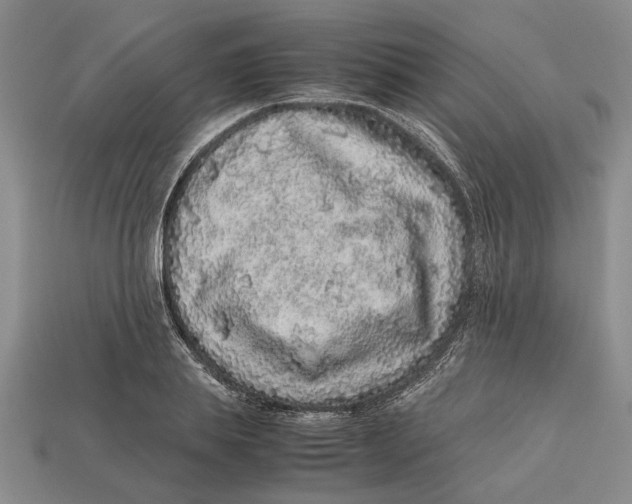 X0000113040839200909241433