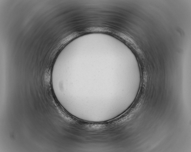 X0000113040841200909241433