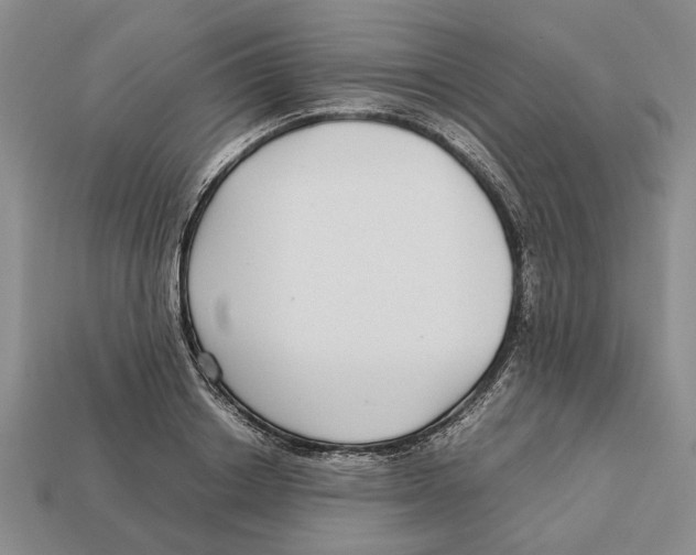 X0000113040842200909241433