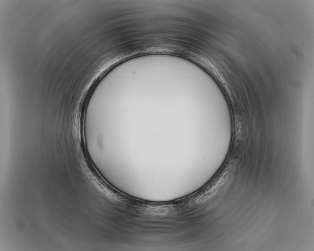 X0000113040843200909241433