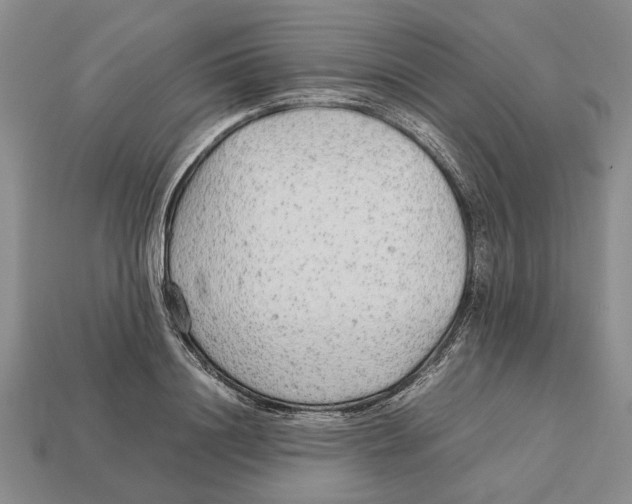 X0000113040844200909241433