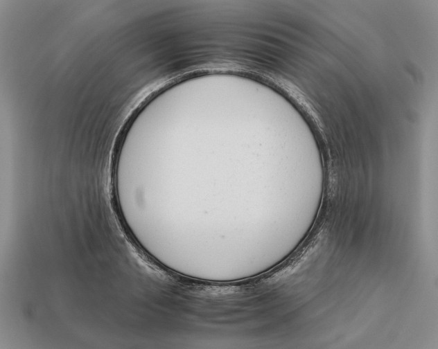 X0000113040845200909241433