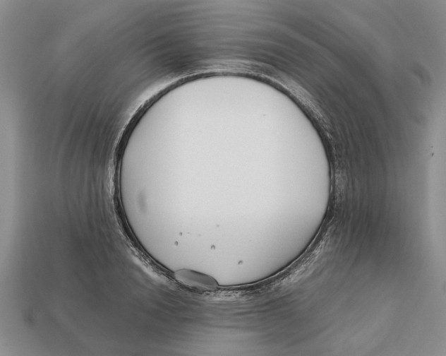 X0000113040846200909241433