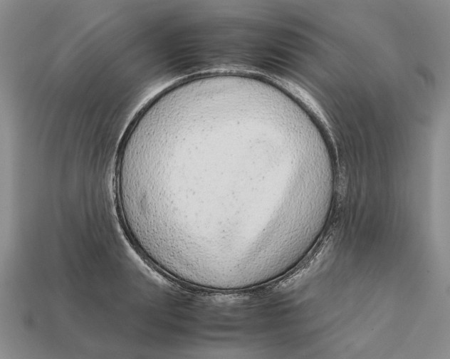 X0000113040847200909241433