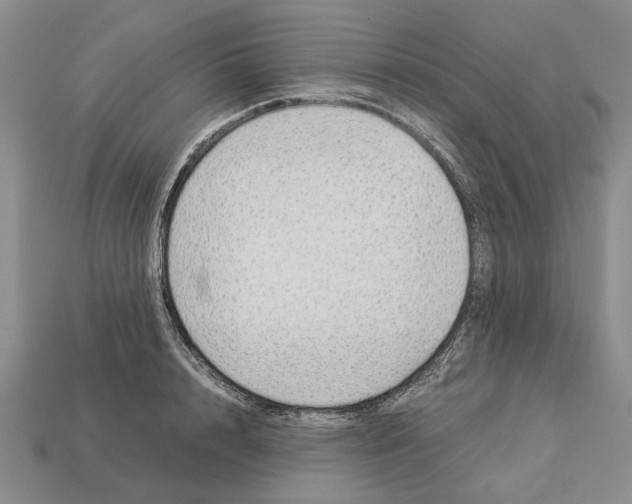 X0000113040848200909241433