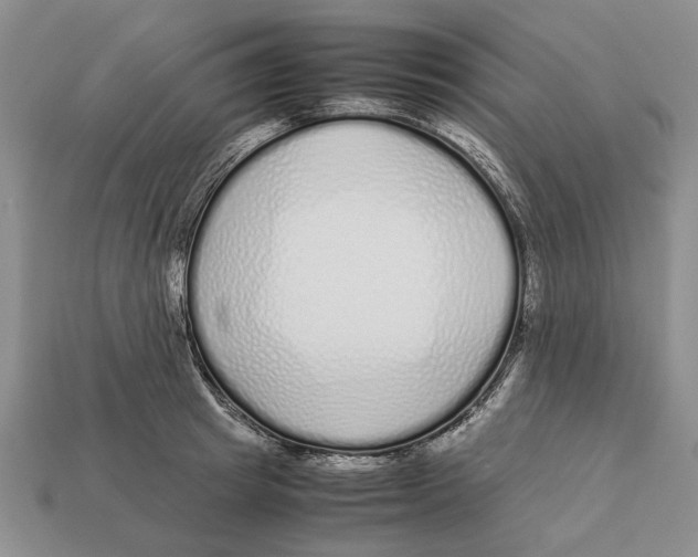 X0000113040849200909241433