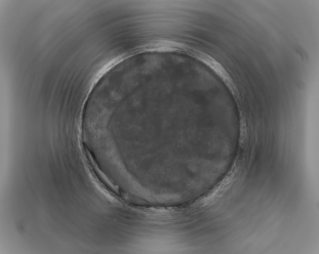 X0000113040850200909241433