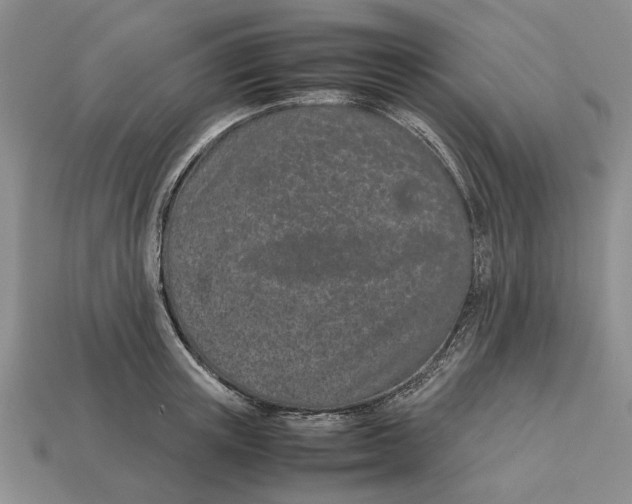 X0000113040851200909241433