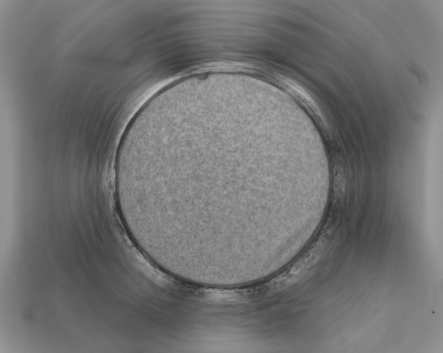 X0000113040852200909241433