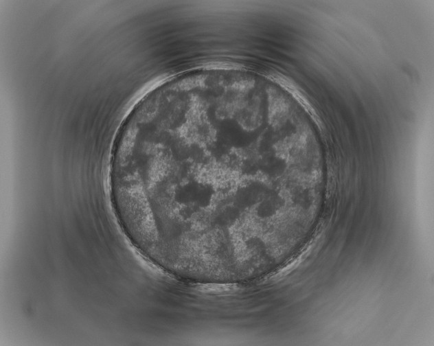 X0000113040853200909241433