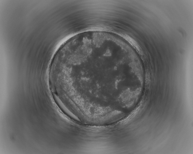 X0000113040854200909241433