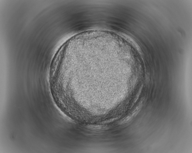 X0000113040855200909241433