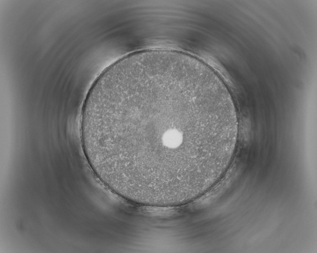 X0000113040856200909241433