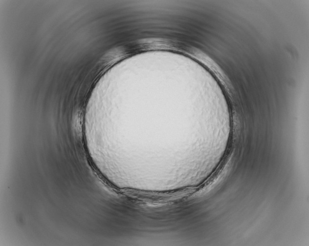 X0000113040857200909241433