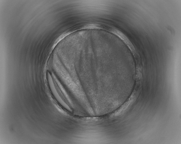 X0000113040858200909241433