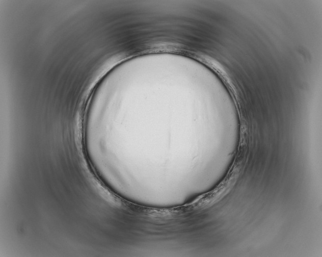 X0000113040859200909241433