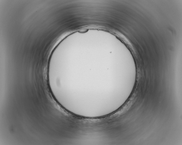 X0000113040860200909241433