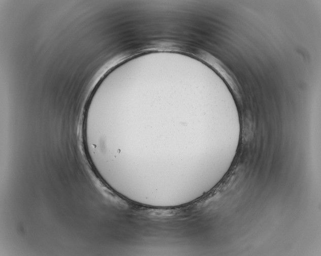 X0000113040861200909241433