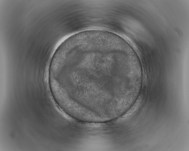 X0000113040862200909241433