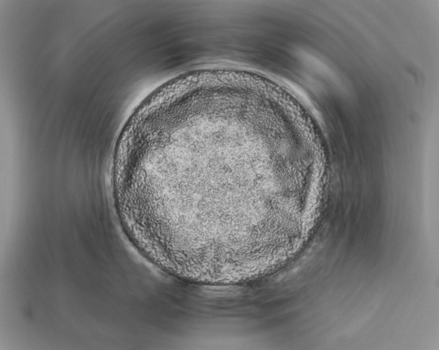 X0000113040863200909241433