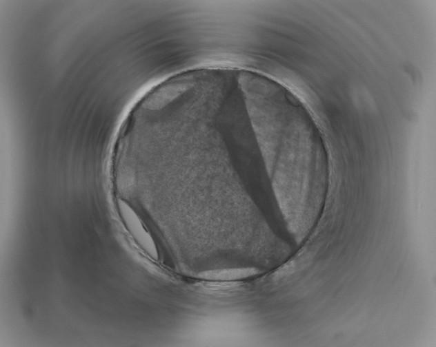 X0000113040864200909241433